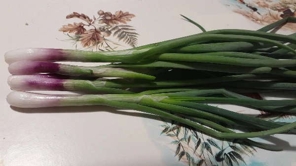 Zöldhagyma (sonkahagyma)