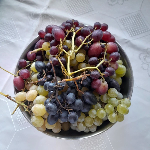 Csemegeszőlő válogatás