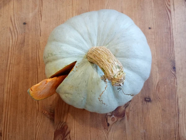 Sütőtök - Nagydobosi (2-4 kg/db)