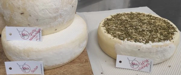Káca bundás kakukkfüves sajt
