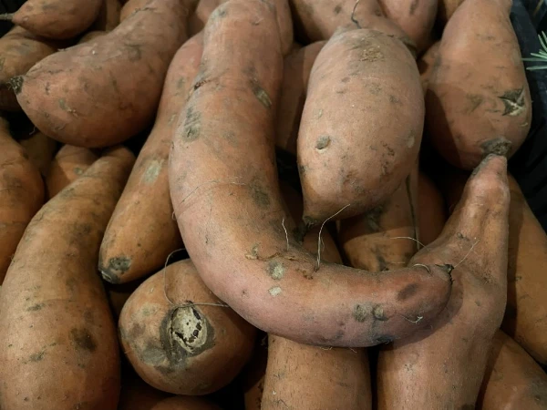 Batáta (sárga húsú)