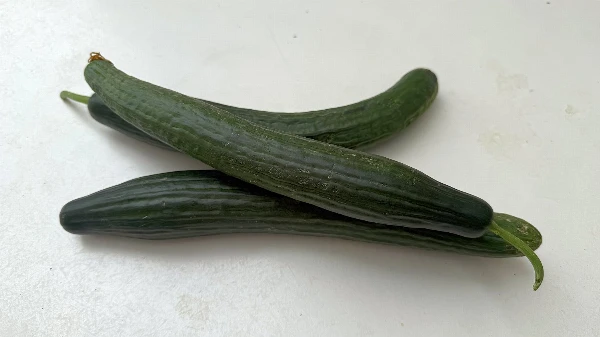 Kígyóuborka (kb. 300-450g/db)