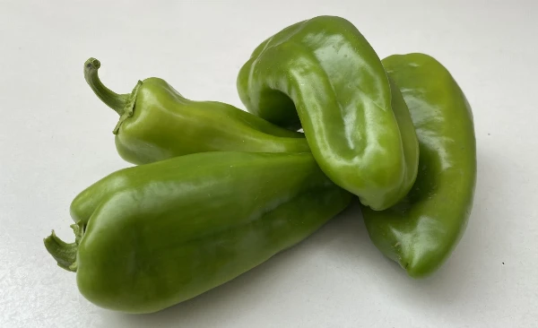 Kápia paprika