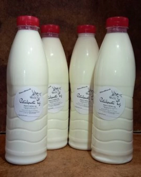 Tej (pasztörizált) - Laktózmentes - Teljes értékű - 3,9% 