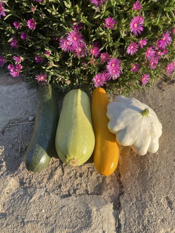 Tök válogatás - színes, vegyes