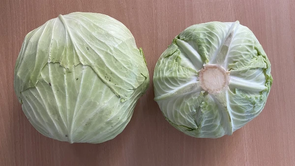 Laposkáposzta (kb. 0,8-1,2 kg/db)