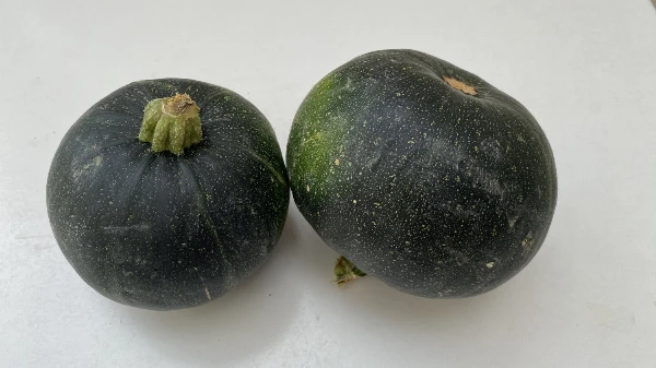 Zöld gömbölyű cukkini (kb. 1-1,3 kg/db)