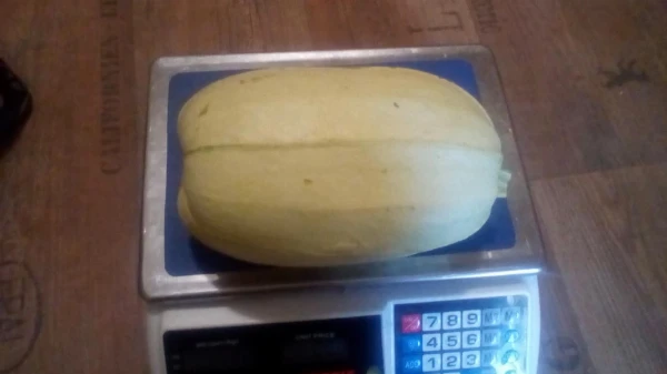 Főzőtök (kb. 1-2kg/db)