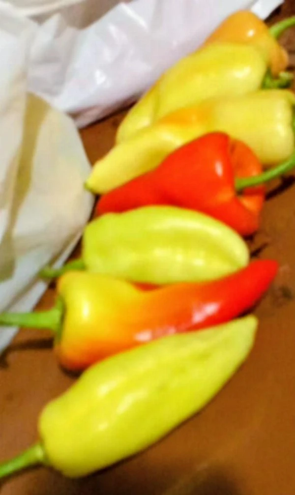 Paprika - Lecsó