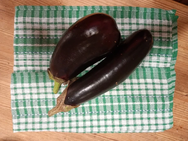 Padlizsán
