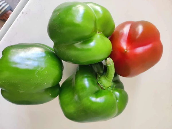 Pritamin paprika