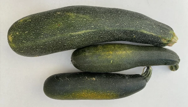 Zöld cukkini (kb. 0,9-1,2 kg/db)