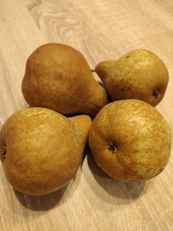 BIO Körte (Bosc Kobak)