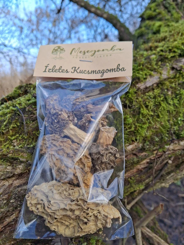 Ízletes kucsmagomba