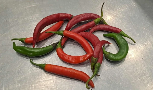 Chili paprika (10 db)