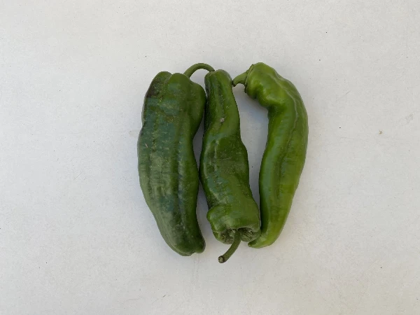 Bocskor paprika