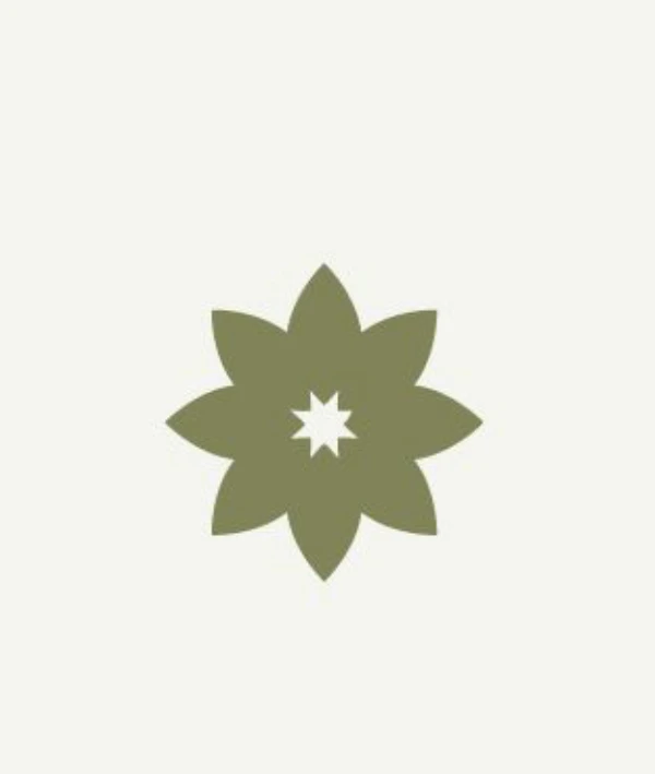 Kiwano (tüskés uborka) palánta