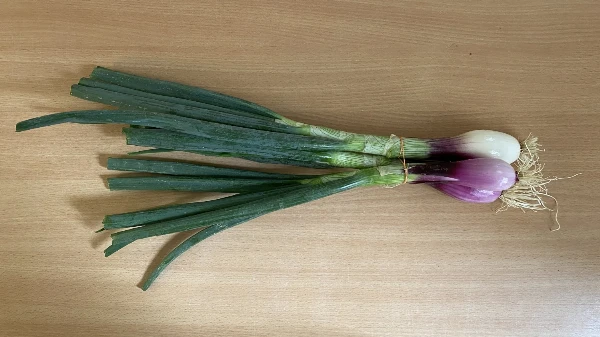 Sonkahagyma