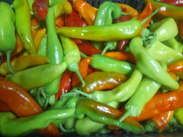 Paprika - Hegyes erős