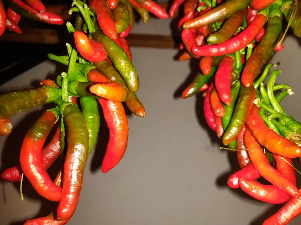 Chili paprika füzér