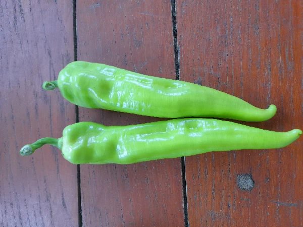 Paprika - Hegyes erős