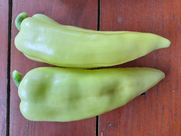 Paprika - PCR (csípős)