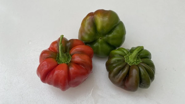 Pritamin paprika