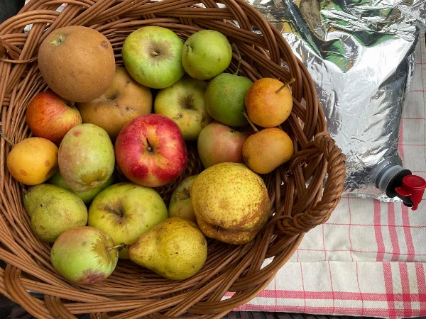 Almalé körtével (vegyes tájfajták) 3 L