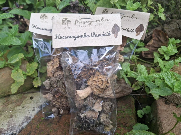 Kucsmagomba variáció