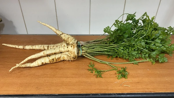 Petrezselyemgyökér csokor zölddel