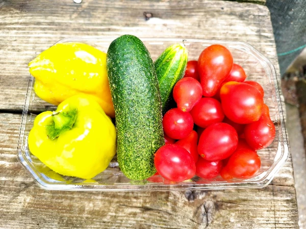 Zöldségek a Malomból (paradicsom, uborka, paprika)