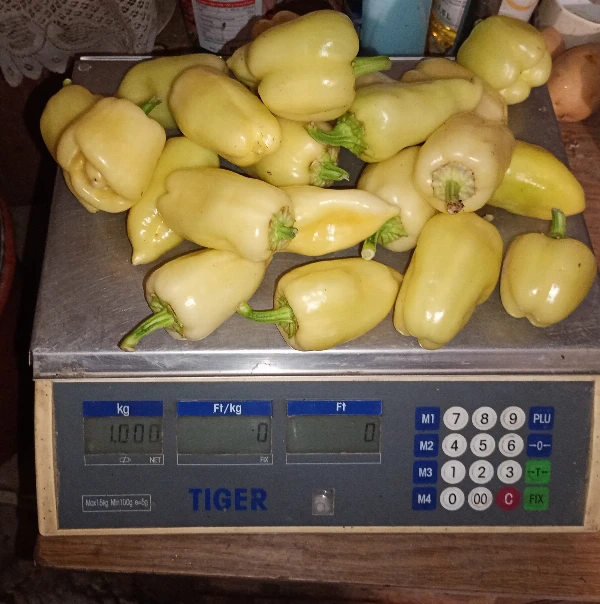Paprika - TV