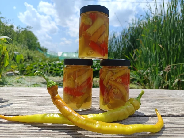 Savanyított pepperoni