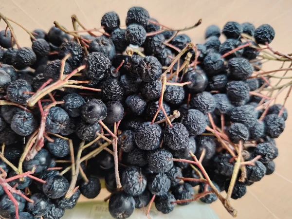 BIO friss arónia (feketeberkenye)