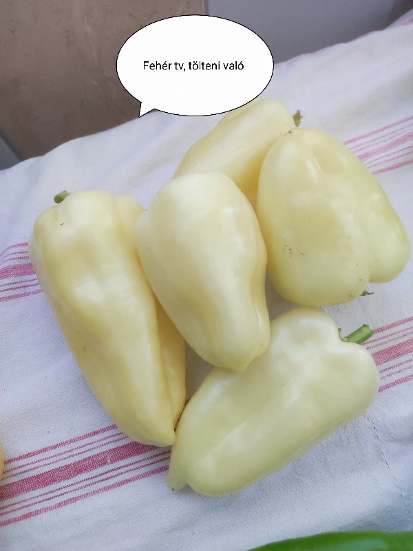 Paprika - TV