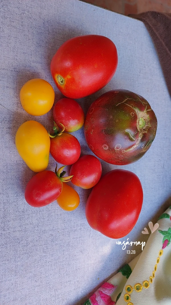 Paradicsom vegyesen