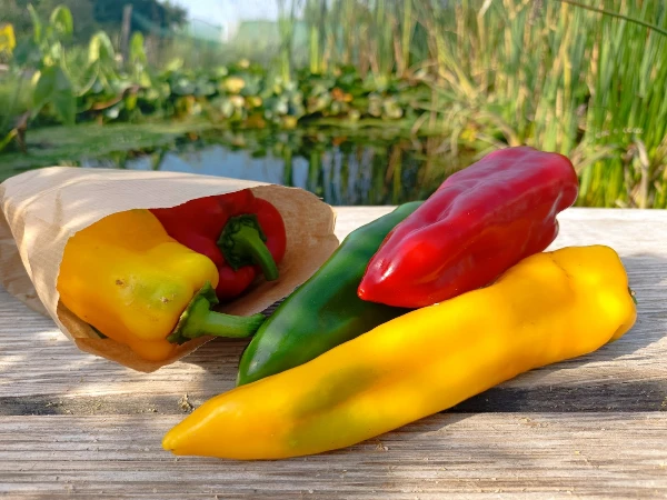 Paprika - Kápia,bocskor (vegyesen)