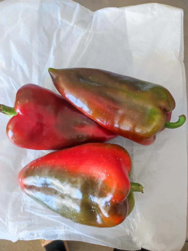 Paprika - Kápia (zöld)