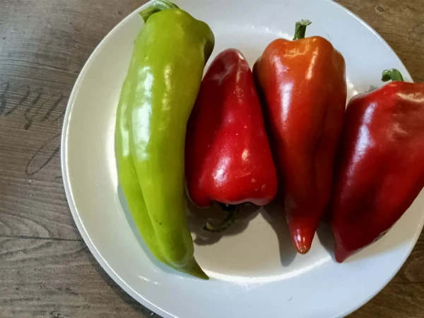 Zöld es piros kápia paprika vegyesen 