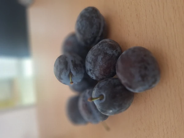 BIO Szilva (Culinaria) - magvaváló