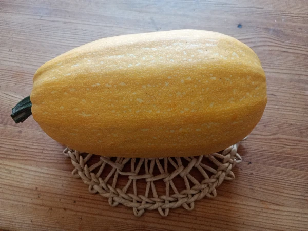 Tök - Istengyalulta tök (kb. 1,2-2,2 kg/db)