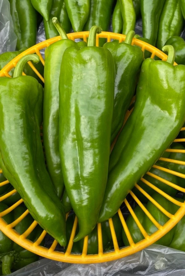 Paprika - Kápia zöld