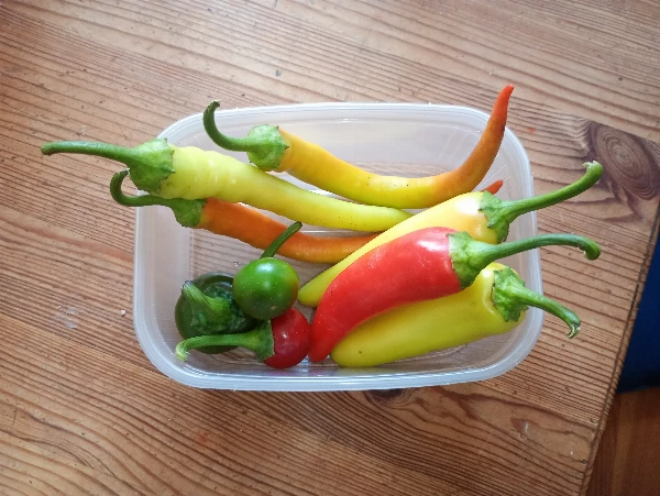 Paprika erős (7db / csomag)