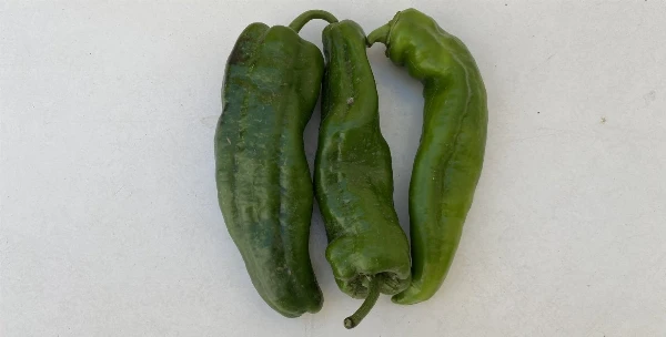 Paprika - Bocskor 